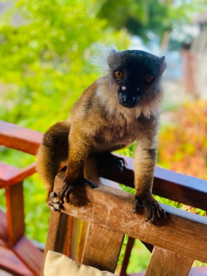 Tamarin Lodge Ампангоринана Экстерьер фото