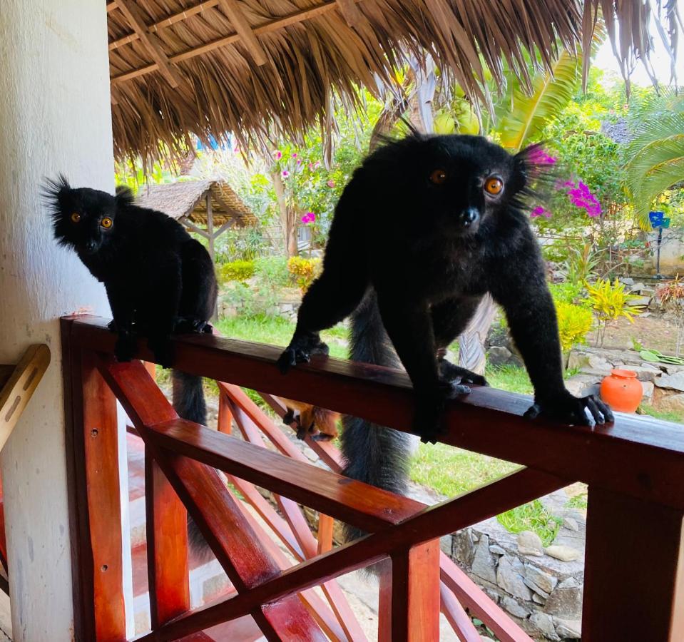 Tamarin Lodge Ампангоринана Экстерьер фото