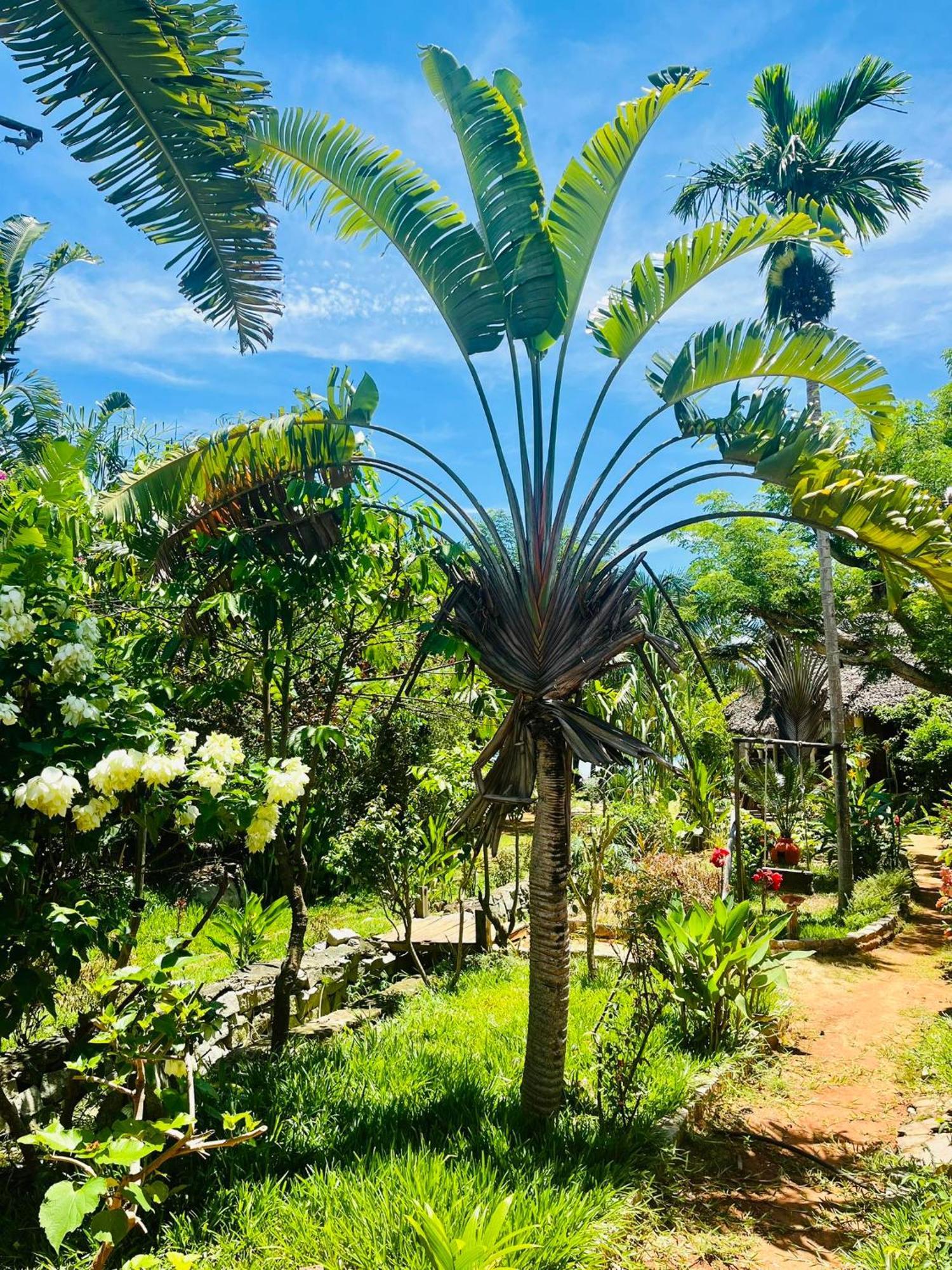 Tamarin Lodge Ампангоринана Экстерьер фото