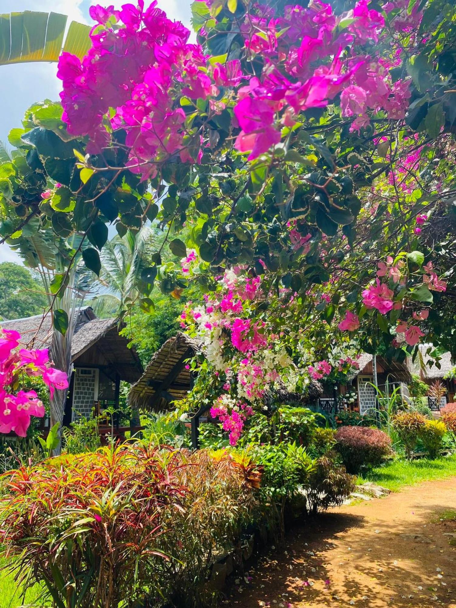 Tamarin Lodge Ампангоринана Экстерьер фото